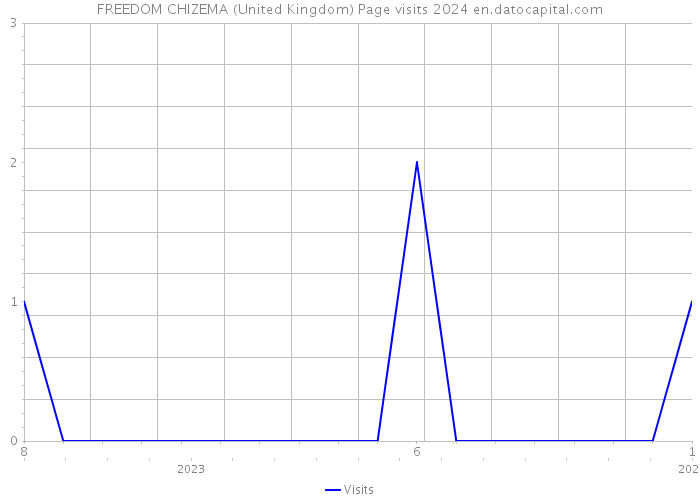 FREEDOM CHIZEMA (United Kingdom) Page visits 2024 