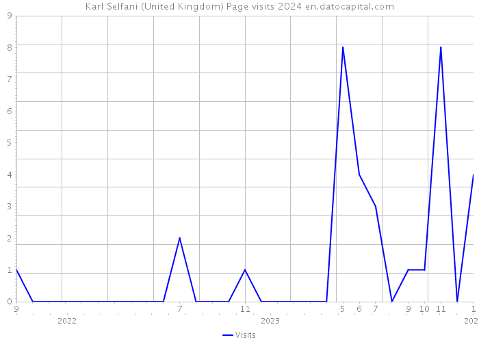 Karl Selfani (United Kingdom) Page visits 2024 