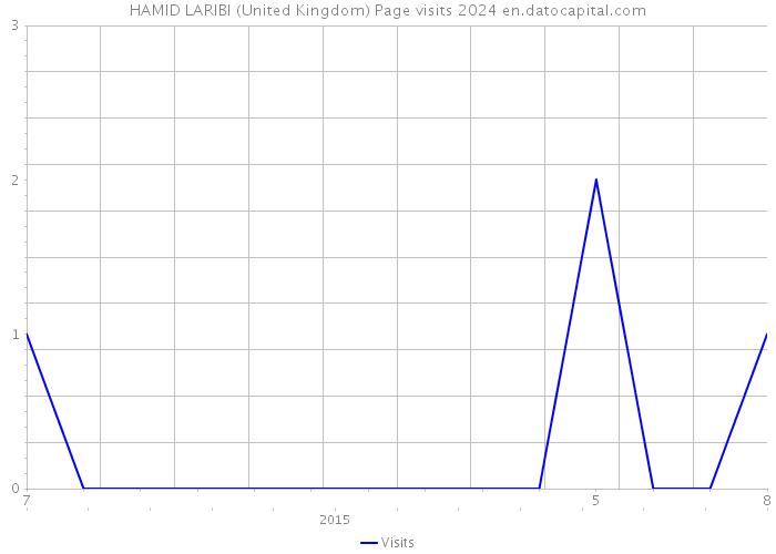 HAMID LARIBI (United Kingdom) Page visits 2024 