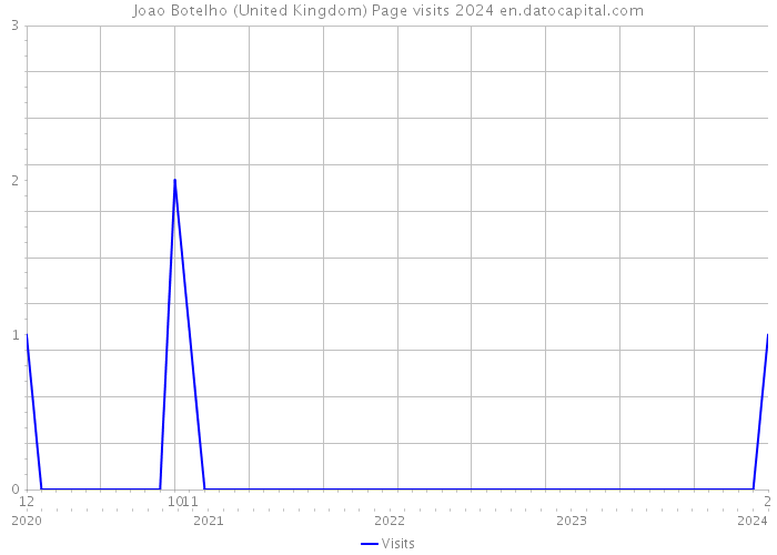Joao Botelho (United Kingdom) Page visits 2024 