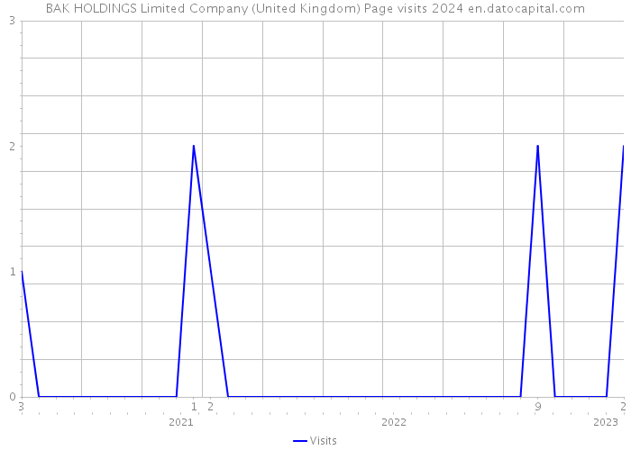 BAK HOLDINGS Limited Company (United Kingdom) Page visits 2024 