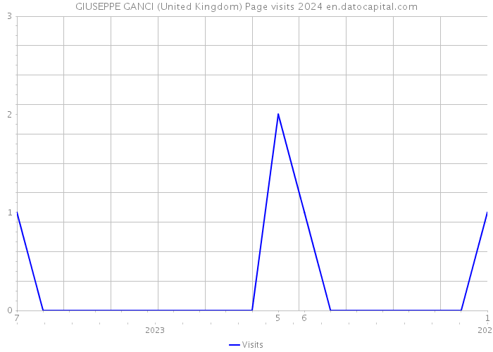 GIUSEPPE GANCI (United Kingdom) Page visits 2024 