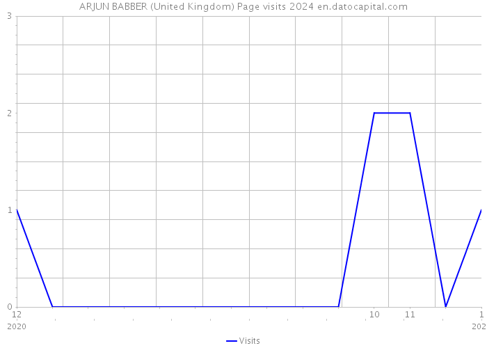 ARJUN BABBER (United Kingdom) Page visits 2024 
