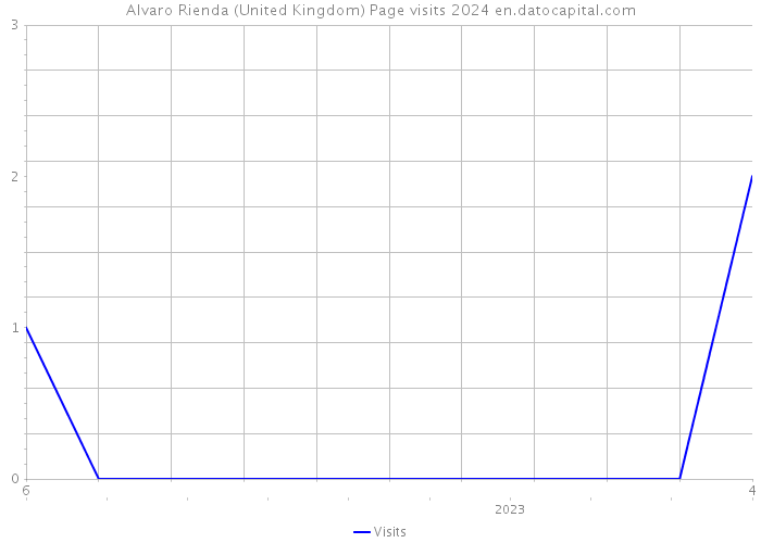 Alvaro Rienda (United Kingdom) Page visits 2024 