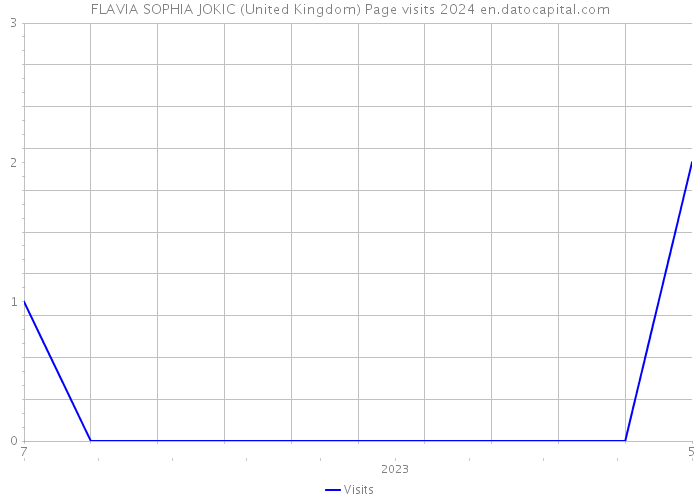 FLAVIA SOPHIA JOKIC (United Kingdom) Page visits 2024 