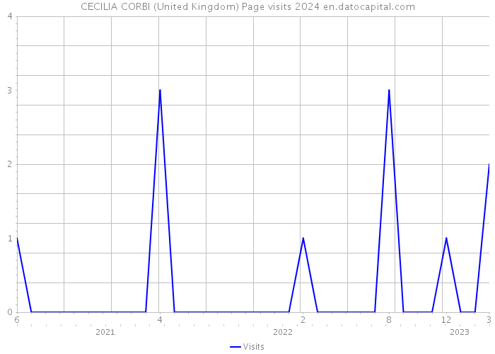 CECILIA CORBI (United Kingdom) Page visits 2024 