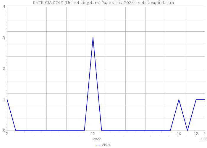 PATRICIA POLS (United Kingdom) Page visits 2024 