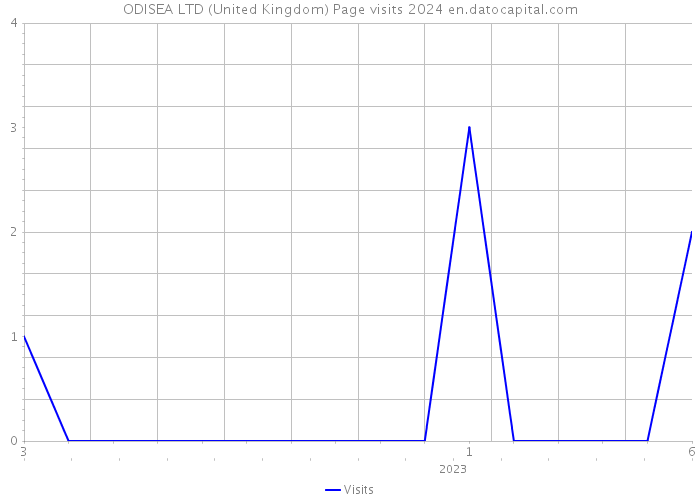 ODISEA LTD (United Kingdom) Page visits 2024 