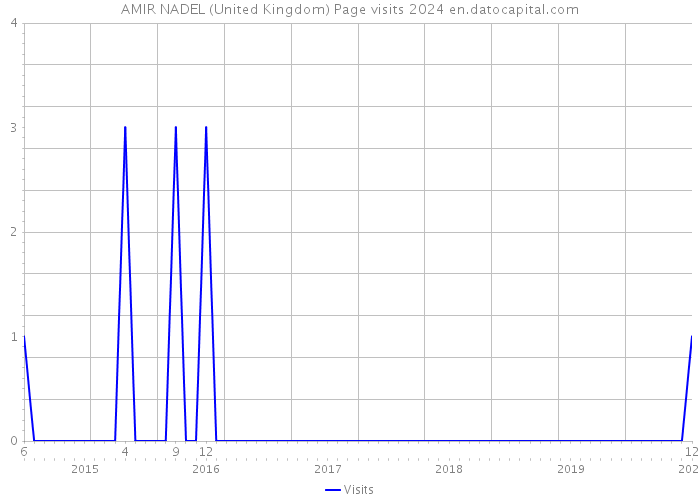 AMIR NADEL (United Kingdom) Page visits 2024 