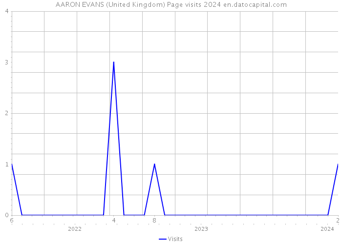 AARON EVANS (United Kingdom) Page visits 2024 