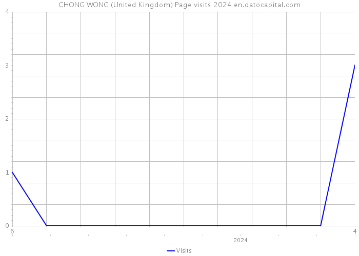 CHONG WONG (United Kingdom) Page visits 2024 