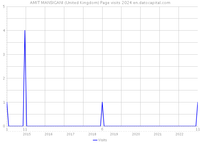 AMIT MANSIGANI (United Kingdom) Page visits 2024 