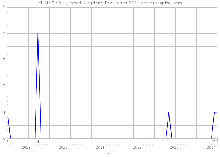 YILMAZ ARU (United Kingdom) Page visits 2024 