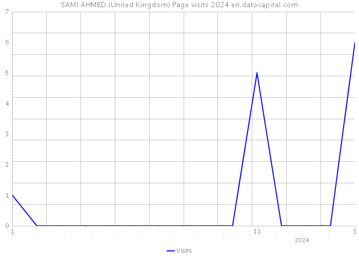 SAMI AHMED (United Kingdom) Page visits 2024 