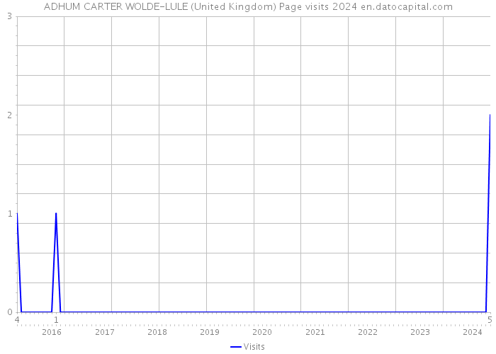 ADHUM CARTER WOLDE-LULE (United Kingdom) Page visits 2024 