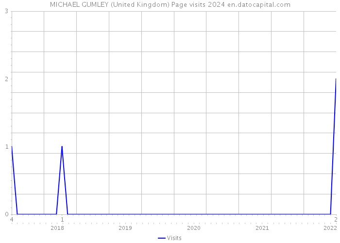 MICHAEL GUMLEY (United Kingdom) Page visits 2024 