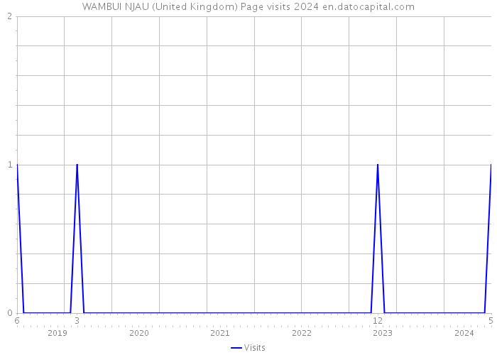 WAMBUI NJAU (United Kingdom) Page visits 2024 