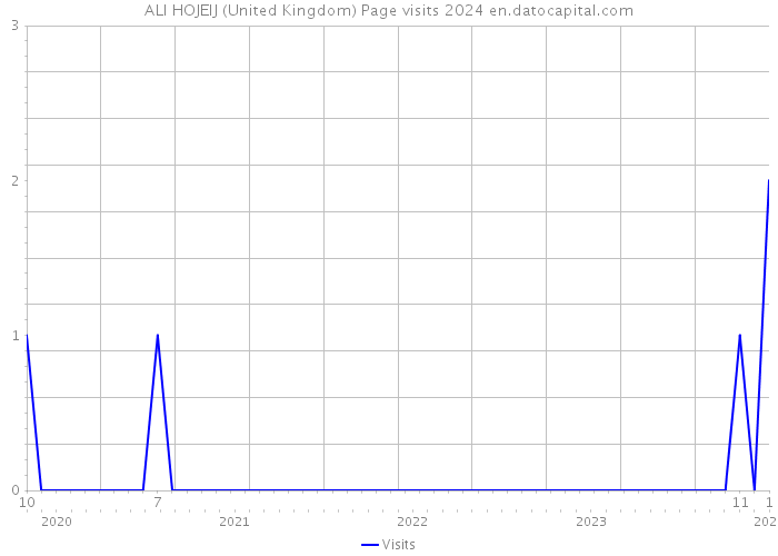 ALI HOJEIJ (United Kingdom) Page visits 2024 
