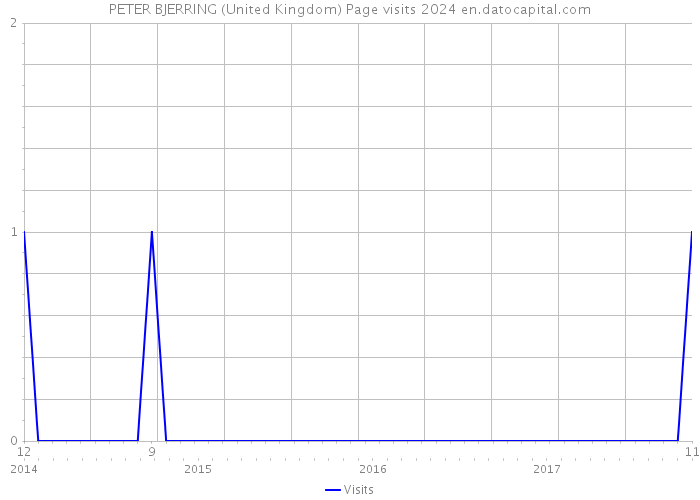 PETER BJERRING (United Kingdom) Page visits 2024 