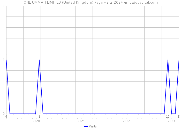 ONE UMMAH LIMITED (United Kingdom) Page visits 2024 