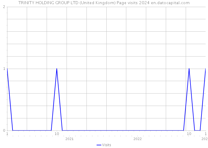 TRINITY HOLDING GROUP LTD (United Kingdom) Page visits 2024 