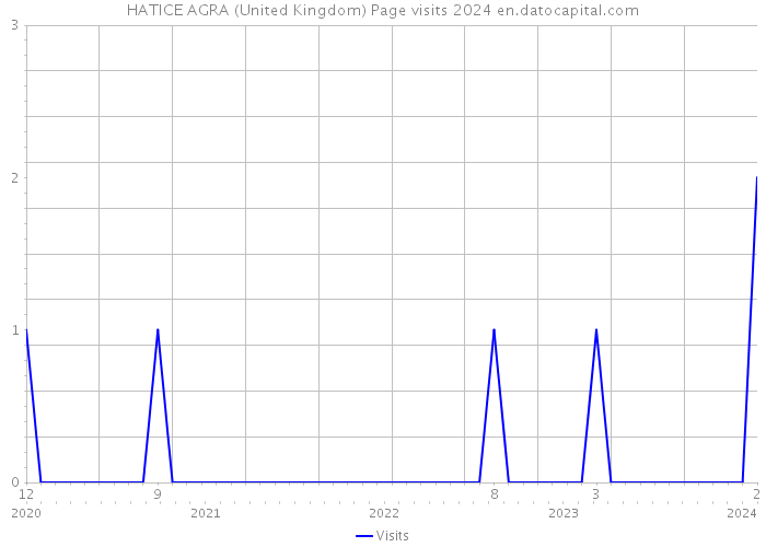 HATICE AGRA (United Kingdom) Page visits 2024 