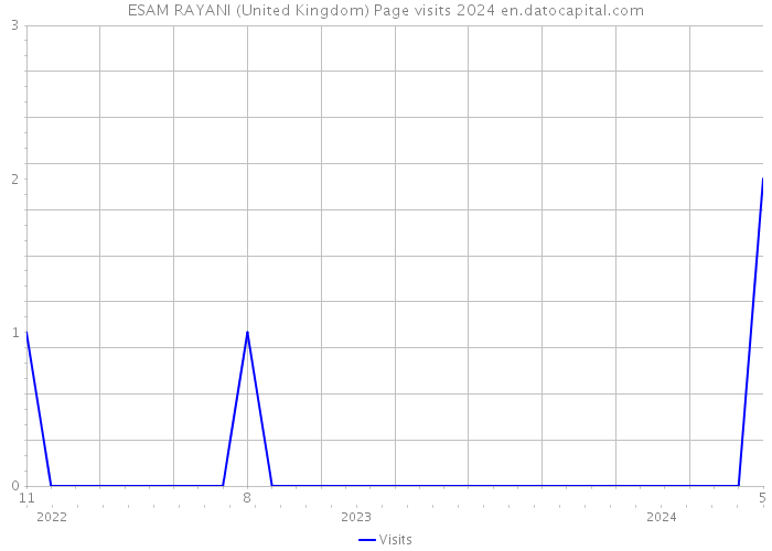 ESAM RAYANI (United Kingdom) Page visits 2024 