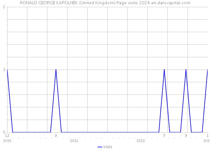 RONALD GEORGE KAPOLNEK (United Kingdom) Page visits 2024 