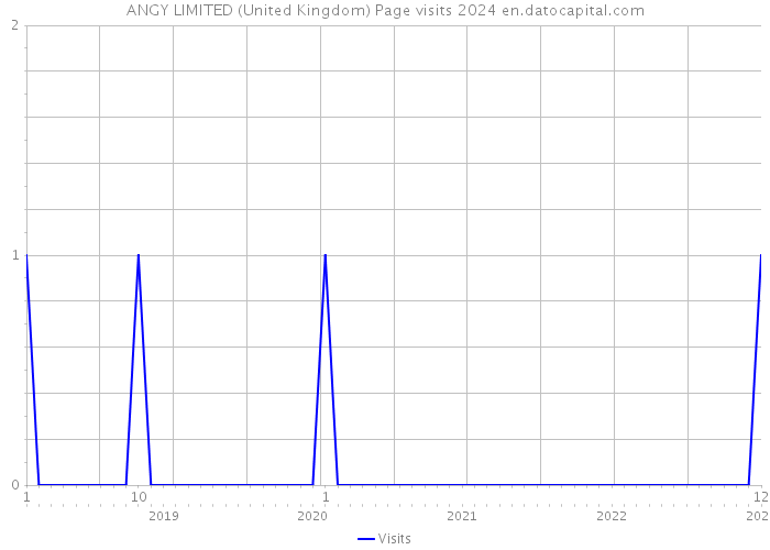 ANGY LIMITED (United Kingdom) Page visits 2024 