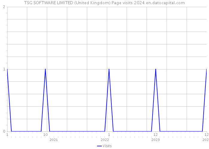 TSG SOFTWARE LIMITED (United Kingdom) Page visits 2024 