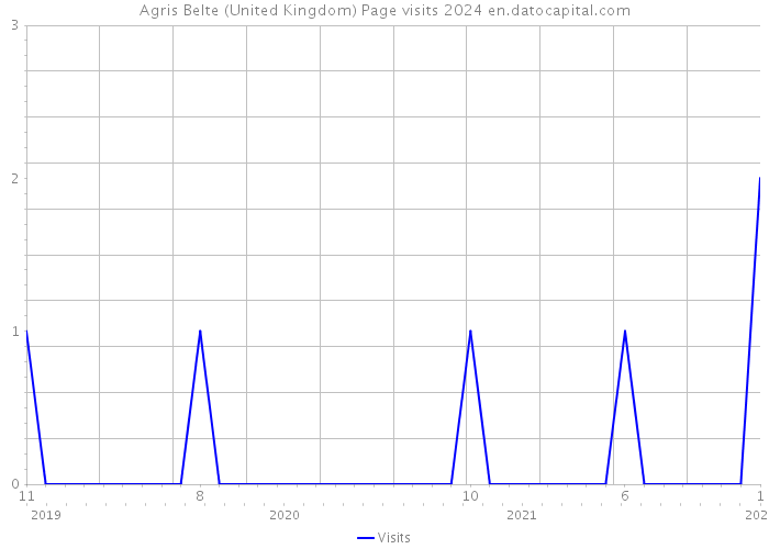 Agris Belte (United Kingdom) Page visits 2024 