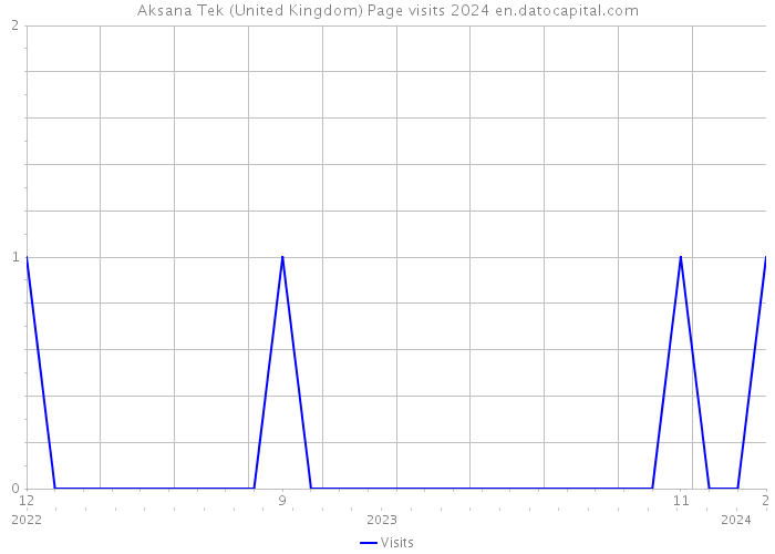 Aksana Tek (United Kingdom) Page visits 2024 