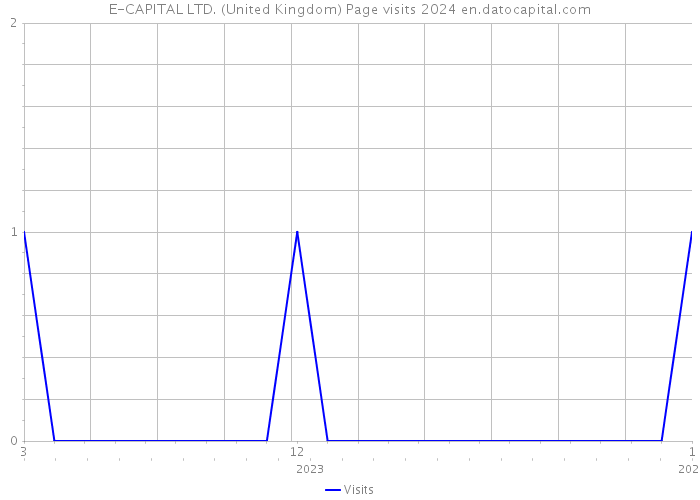 E-CAPITAL LTD. (United Kingdom) Page visits 2024 