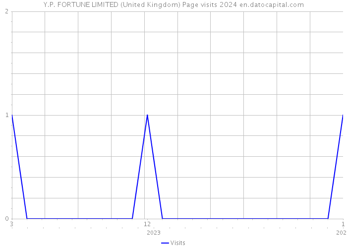 Y.P. FORTUNE LIMITED (United Kingdom) Page visits 2024 