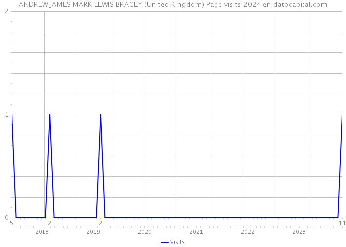 ANDREW JAMES MARK LEWIS BRACEY (United Kingdom) Page visits 2024 