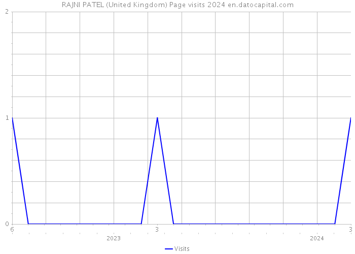 RAJNI PATEL (United Kingdom) Page visits 2024 