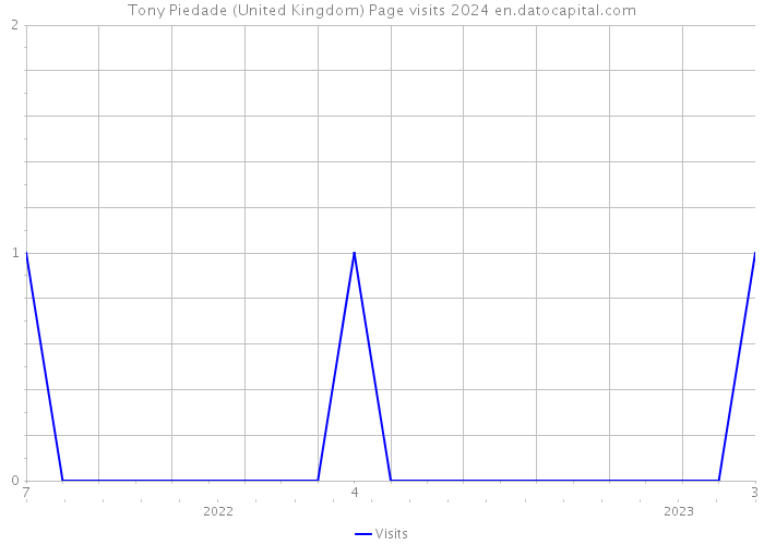 Tony Piedade (United Kingdom) Page visits 2024 