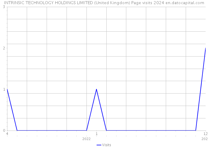 INTRINSIC TECHNOLOGY HOLDINGS LIMITED (United Kingdom) Page visits 2024 