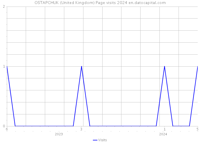 OSTAPCHUK (United Kingdom) Page visits 2024 