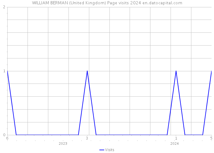 WILLIAM BERMAN (United Kingdom) Page visits 2024 