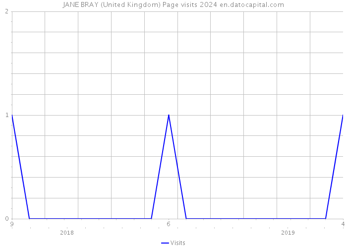 JANE BRAY (United Kingdom) Page visits 2024 