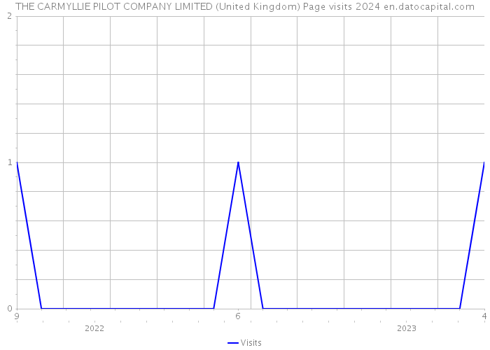 THE CARMYLLIE PILOT COMPANY LIMITED (United Kingdom) Page visits 2024 