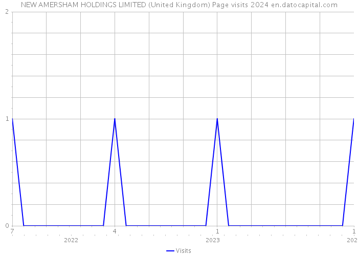 NEW AMERSHAM HOLDINGS LIMITED (United Kingdom) Page visits 2024 