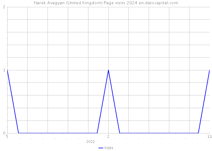 Narek Avagyan (United Kingdom) Page visits 2024 