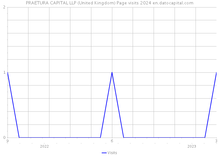 PRAETURA CAPITAL LLP (United Kingdom) Page visits 2024 
