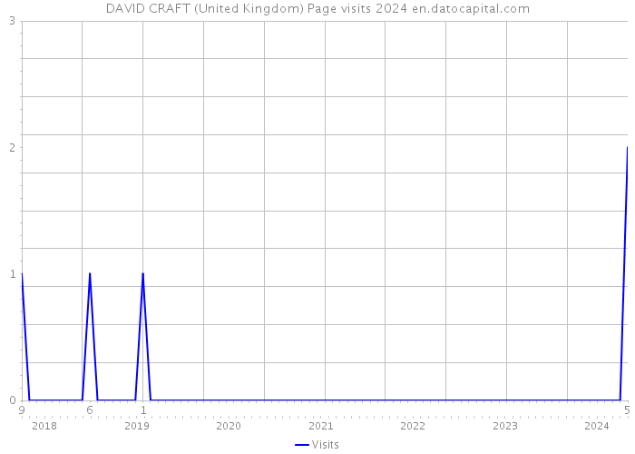 DAVID CRAFT (United Kingdom) Page visits 2024 