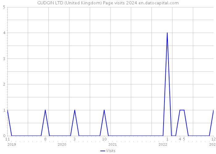 GUDGIN LTD (United Kingdom) Page visits 2024 