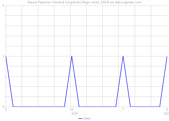 David Pewtner (United Kingdom) Page visits 2024 