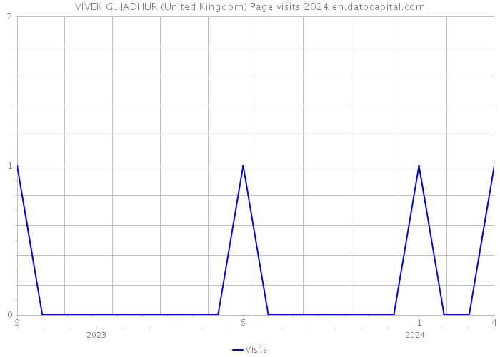 VIVEK GUJADHUR (United Kingdom) Page visits 2024 