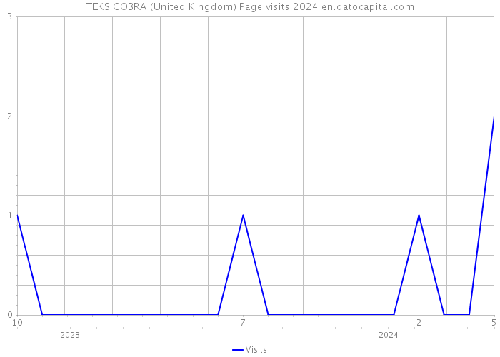 TEKS COBRA (United Kingdom) Page visits 2024 